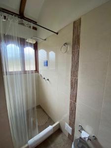y baño con ducha, lavabo y aseo. en Hostal Villa Anita, en Villa de Leyva