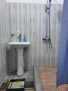 uma casa de banho com um lavatório e um chuveiro em Кольсайские озера, гостиница Айару em Kurmenty