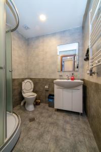 W łazience znajduje się umywalka, toaleta i lustro. w obiekcie Gio’s Family house w mieście Bakuriani