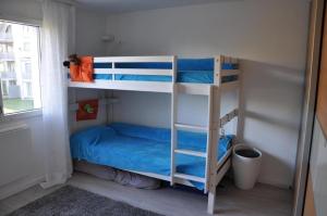 a bedroom with two bunk beds in a room at Erholung in Wildhaus mit Bergsicht in Wildhaus