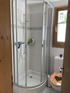 a shower with a glass door in a bathroom at Ferienwohnung mit Aussicht bei Golfplatz Buna Vista in Schleuis