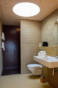 y baño con aseo, lavabo y ducha. en Gästehaus mit See- und Weitblick, en Bellerive
