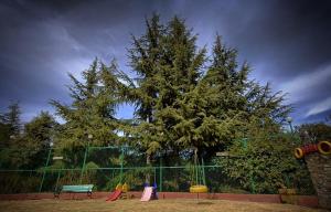 Afbeelding uit fotogalerij van Tathastu Resort in Mukteswar +39 foto's