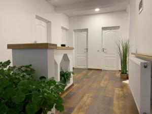 Kuchyň nebo kuchyňský kout v ubytování Casa Muntelui Râșnov