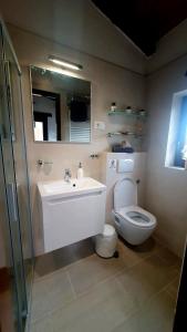 y baño con lavabo, aseo y espejo. en Casa Leonarda, old authentic Istrian stone house near Motovun, central Istria en Zamask