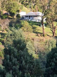 une maison au sommet d'une colline avec des arbres dans l'établissement Foster - Nature Retreat - Nippards Nature Cottage, 