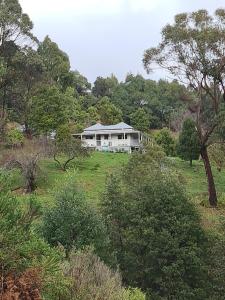 une grande maison sur une colline dans un champ dans l'établissement Foster - Nature Retreat - Nippards Nature Cottage, 