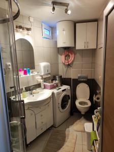 een kleine badkamer met een wastafel en een wasmachine bij Apartman Anka in Divčibare