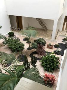 Duplex haut standing à 5min de la plage2 في أغادير: حديقة داخلية فيها نباتات في مبنى