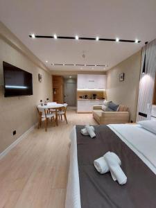 古道里的住宿－New Gudauri F4，一间带大床的卧室和一间客厅