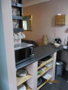 a kitchen with a counter top with a microwave at LISANÉ ACCOMMODATION in Middelburg