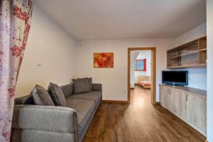 ein Wohnzimmer mit einem Sofa und einem Flachbild-TV in der Unterkunft Kammerhof Apartment Apfel in Lana
