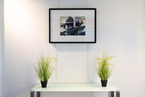 a picture frame hanging above a table with two potted plants at Hôtel Riva Art & Spa in Menton