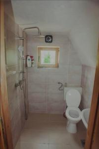 La petite salle de bains est pourvue d'une douche et de toilettes. dans l'établissement Vikendica Mimiena, à Račić