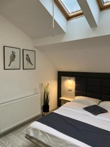 a bedroom with a large bed and a skylight at Pensiunea Max in Cluj-Napoca