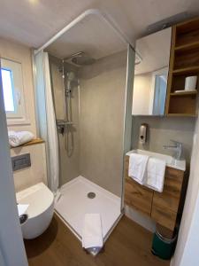 a bathroom with a shower and a toilet and a sink at Tiny House Stever im PIER9 Tiny House Hotel in Hamm