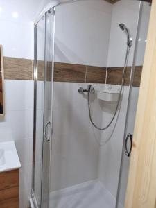 a shower with a glass door in a bathroom at Domki Pod Dębami in Pobierowo