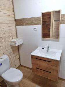 a bathroom with a toilet and a sink and a mirror at Domki Pod Dębami in Pobierowo