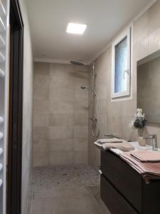 bagno con doccia e lavandino di Gîte la Winery a Romery