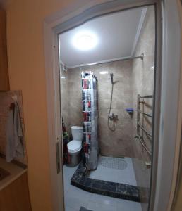 La salle de bains est pourvue d'une douche et de toilettes. dans l'établissement Petite Chambre, à Velyatyn