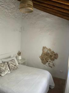 Casa Lucas في جرازاليما: غرفة نوم بسرير ودهان على الحائط