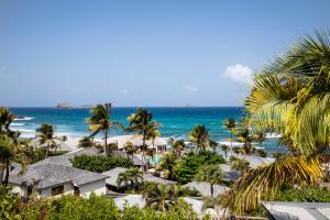 vistas a una playa con palmeras y al océano en Hotel Manapany en Gustavia