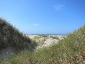a sandy beach with grass and the ocean in the background at 50 3 N Nordkoje in Wangerland +5 photos