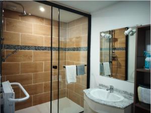 a bathroom with a shower with a sink and a shower at Appartement aux Airelles in Embrun