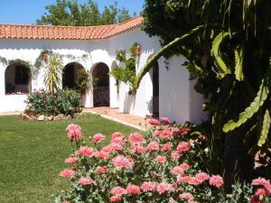 Zahrada ubytování Hostal El Capi