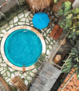 een uitzicht over een zwembad met twee blauwe stoelen bij Lua Pousada in Barra de São Miguel