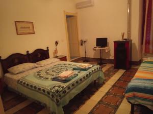 1 dormitorio con 1 cama y TV en Sa Pruninca en Villanova Monteleone
