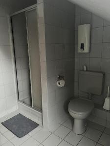 a bathroom with a toilet and a shower at Ferienwohnung Schneider mit Balkon in Bad Laasphe