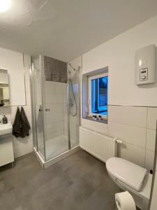 a bathroom with a shower and a toilet and a sink at Ferienappartment & Ferienwohnung Banfetal in Bad Laasphe