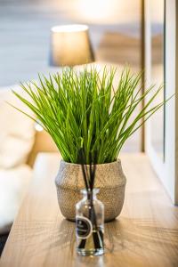 een plant in een vaas zittend op een tafel bij No5 Durley Road - Contemporary serviced rooms and suites - no food available in Bournemouth