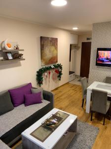 TV a/nebo společenská místnost v ubytování Apartman & SPA Andria