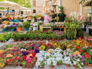 A garden outside Marina de namer