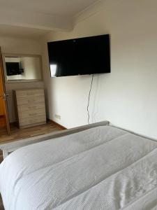 a bedroom with a bed and a flat screen tv on a wall at Quirky studio flat selfcontained in London