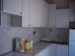 Kuchyň nebo kuchyňský kout v ubytování Apartment Sunshine