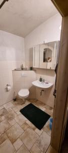 ein Badezimmer mit einem weißen WC und einem Waschbecken in der Unterkunft Monteur-Ferienwohnung OT Naundorf in Naundorf
