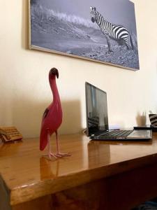 a toy bird standing on a desk next to a laptop at Splendid stay in Nakuru in Nakuru