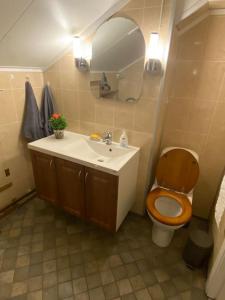 a bathroom with a toilet and a sink at Rooftop view apartment in Vardø