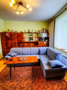 a living room with a couch and a coffee table at Gościna U kowala in Lachowice