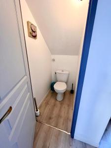 uma pequena casa de banho com WC num sótão em Gîte Le Rouge Queue 3 étoiles em Fresnes