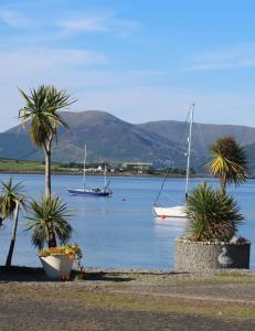 two boats in a large body of water with palm trees at An Cuilidh in Port Bannatyne