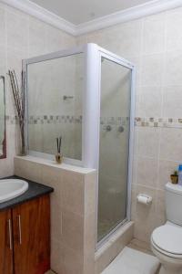 a bathroom with a shower and a toilet and a sink at Beachfront Accommodation in Port Alfred