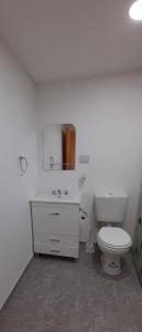 een badkamer met een toilet, een wastafel en een spiegel bij M&M ll in Comodoro Rivadavia