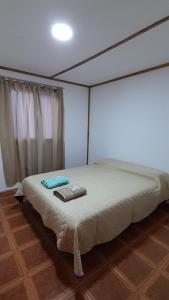 1 dormitorio con 1 cama en una habitación con ventana en M&M ll en Comodoro Rivadavia