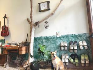 Fotografie z fotogalerie ubytování 燕寓 獨旅單人房Swallow Coliving v destinaci Siao Liou-čchiou