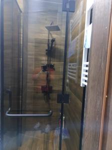 prysznic ze szklanymi drzwiami w pokoju w obiekcie Gonio w mieście Kvariati