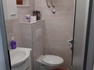 a bathroom with a white toilet and a sink at Apartments Franka Saplunara in Saplunara
